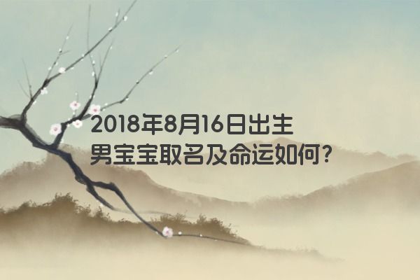 2018年8月16日出生男宝宝取名及命运如何？