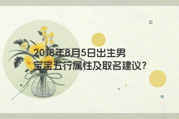 2018年8月5日出生男宝宝五行属性及取名建议？