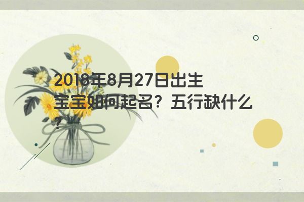 2018年8月27日出生宝宝如何起名？五行缺什么？