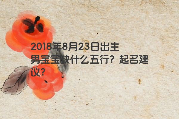 2018年8月23日出生男宝宝缺什么五行？起名建议？