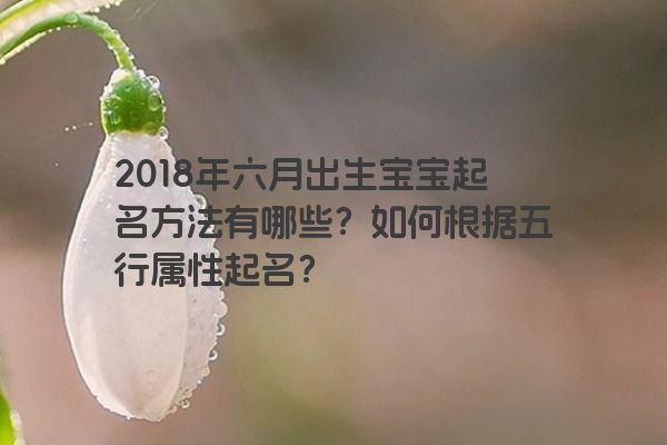 2018年六月出生宝宝起名方法有哪些？如何根据五行属性起名？