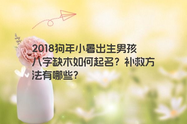 2018狗年小暑出生男孩八字缺木如何起名？补救方法有哪些？