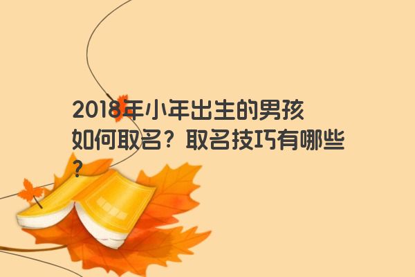 2018年小年出生的男孩如何取名？取名技巧有哪些？