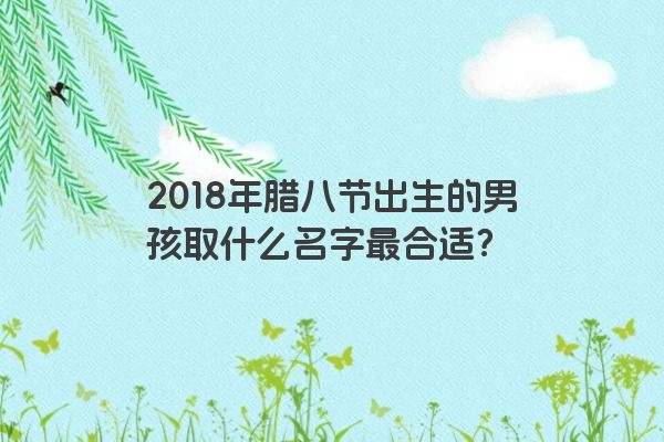 2018年腊八节出生的男孩取什么名字最合适？