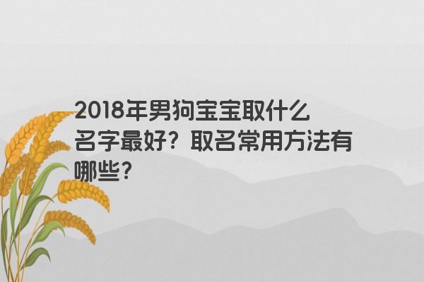 2018年男狗宝宝取什么名字最好？取名常用方法有哪些？