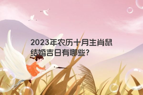 2023年农历十月生肖鼠结婚吉日有哪些？