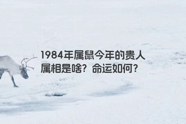 1984年属鼠今年的贵人属相是啥？命运如何？