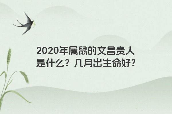 2020年属鼠的文昌贵人是什么？几月出生命好？