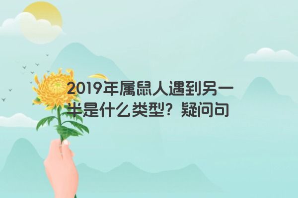 2019年属鼠人遇到另一半是什么类型？疑问句