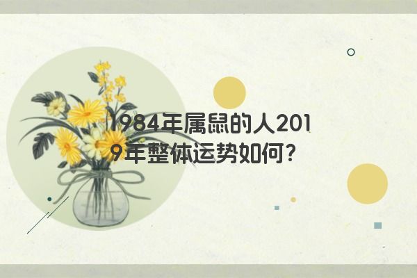 1984年属鼠的人2019年整体运势如何？