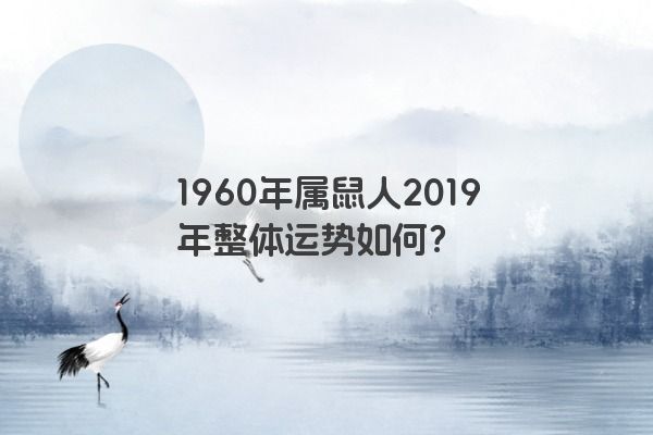 1960年属鼠人2019年整体运势如何？