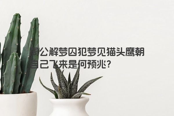 周公解梦囚犯梦见猫头鹰朝自己飞来是何预兆？