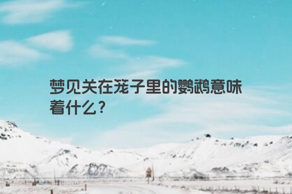 梦见关在笼子里的鹦鹉意味着什么？