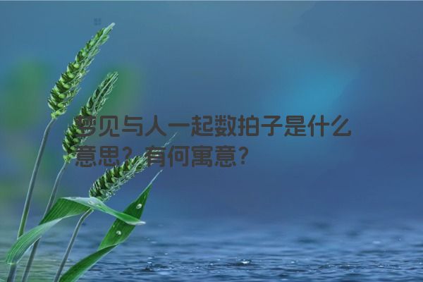 梦见与人一起数拍子是什么意思？有何寓意？