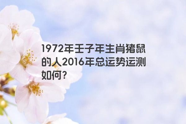 1972年壬子年生肖猪鼠的人2016年总运势运测如何？