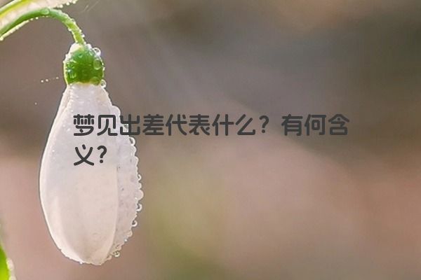 梦见出差代表什么？有何含义？