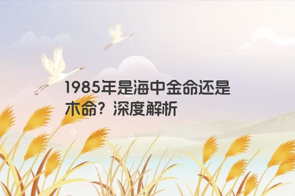 1985年是海中金命还是木命？深度解析