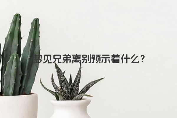 梦见兄弟离别预示着什么？