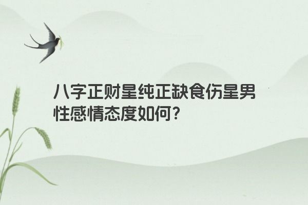 八字正财星纯正缺食伤星男性感情态度如何？