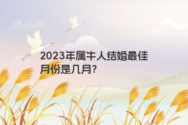 2023年属牛人结婚最佳月份是几月？