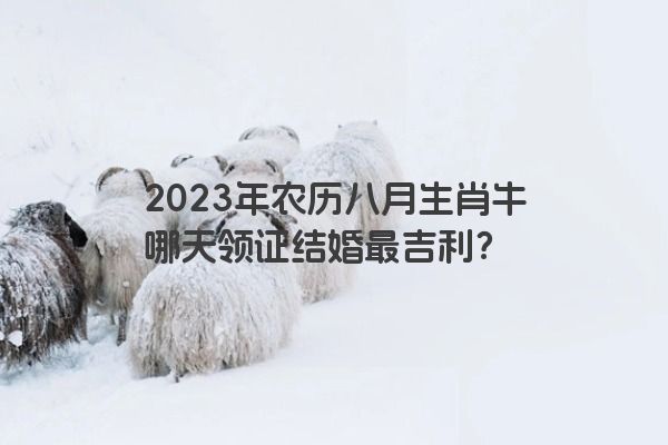 2023年农历八月生肖牛哪天领证结婚最吉利？