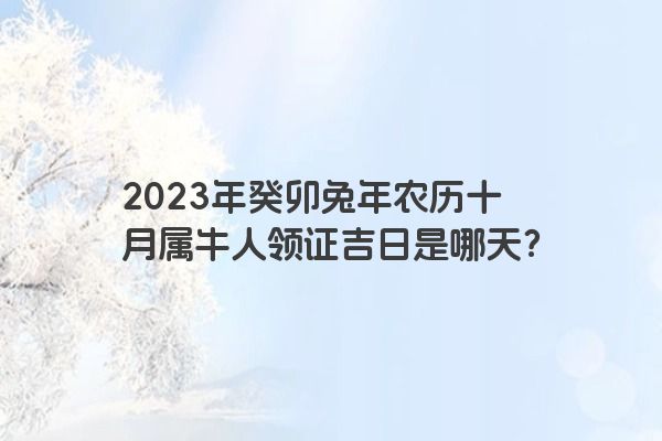 2023年癸卯兔年农历十月属牛人领证吉日是哪天？