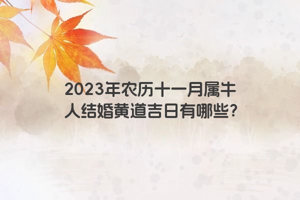 2023年农历十一月属牛人结婚黄道吉日有哪些？