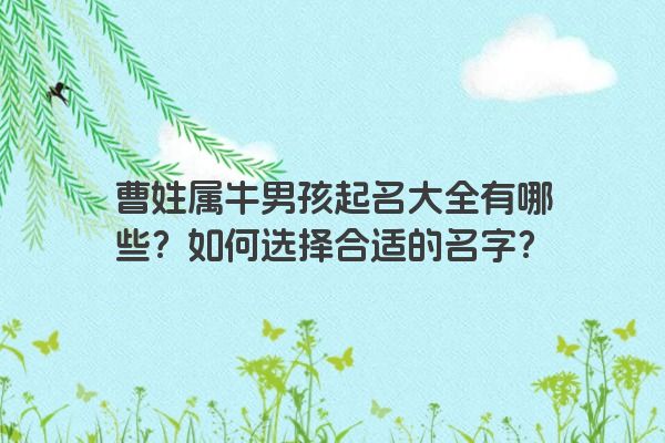 曹姓属牛男孩起名大全有哪些？如何选择合适的名字？