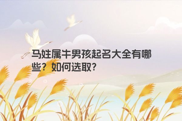 马姓属牛男孩起名大全有哪些？如何选取？