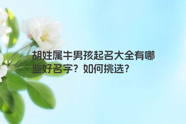 胡姓属牛男孩起名大全有哪些好名字？如何挑选？