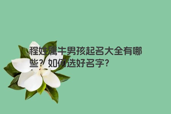 程姓属牛男孩起名大全有哪些？如何选好名字？