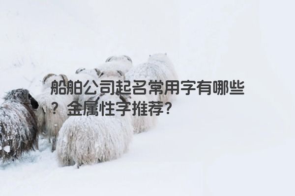 船舶公司起名常用字有哪些？金属性字推荐？