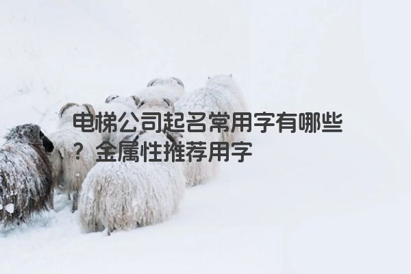 电梯公司起名常用字有哪些？金属性推荐用字