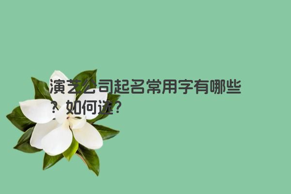 演艺公司起名常用字有哪些？如何选？