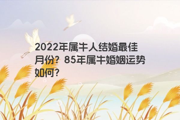 2022年属牛人结婚最佳月份？85年属牛婚姻运势如何？
