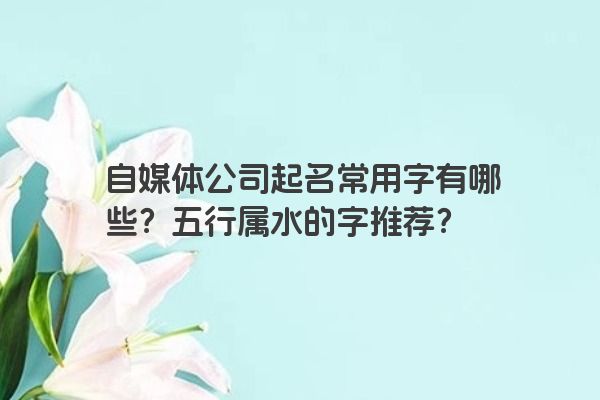 自媒体公司起名常用字有哪些？五行属水的字推荐？