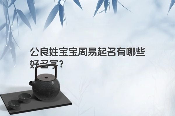 公良姓宝宝周易起名有哪些好名字？