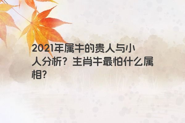 2021年属牛的贵人与小人分析？生肖牛最怕什么属相？