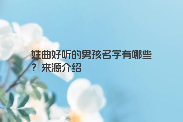 姓曲好听的男孩名字有哪些？来源介绍