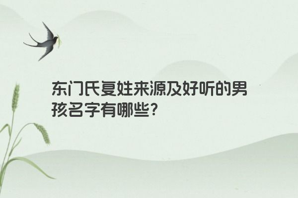 姓东门好听的男孩名字