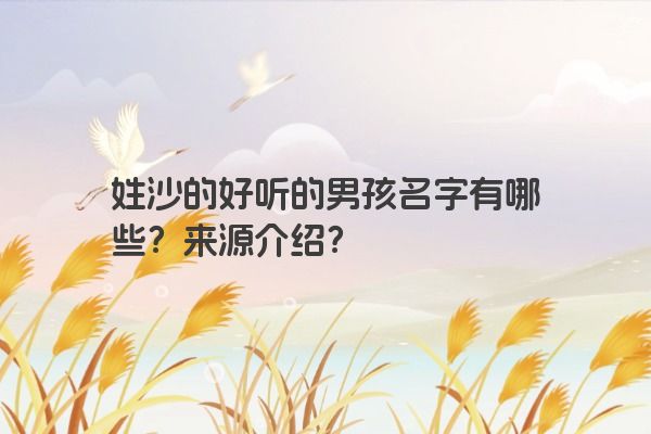 姓沙的好听的男孩名字有哪些？来源介绍？