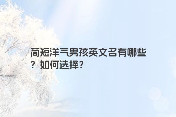 简短洋气男孩英文名有哪些？如何选择？