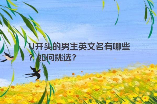 U开头的男生英文名有哪些？如何挑选？