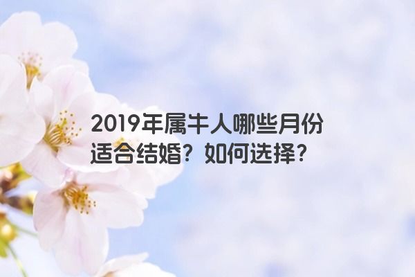 2019年属牛人哪些月份适合结婚？如何选择？