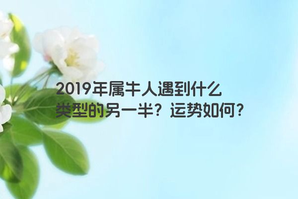 2019年属牛人遇到什么类型的另一半？运势如何？