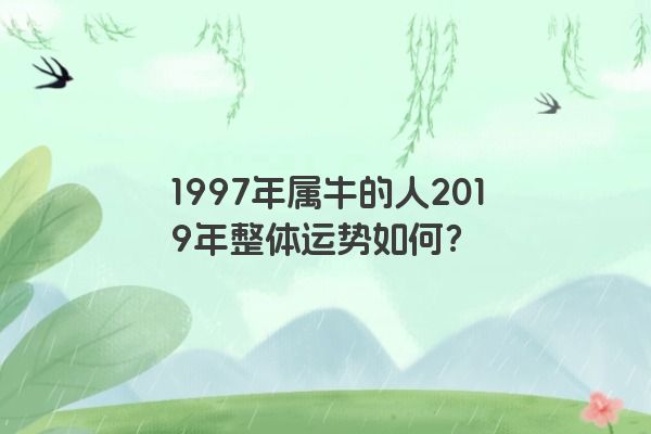 1997年属牛的人2019年整体运势如何？