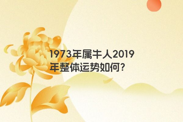 1973年属牛人2019年整体运势如何？