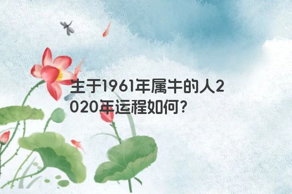 生于1961年属牛的人2020年运程如何？