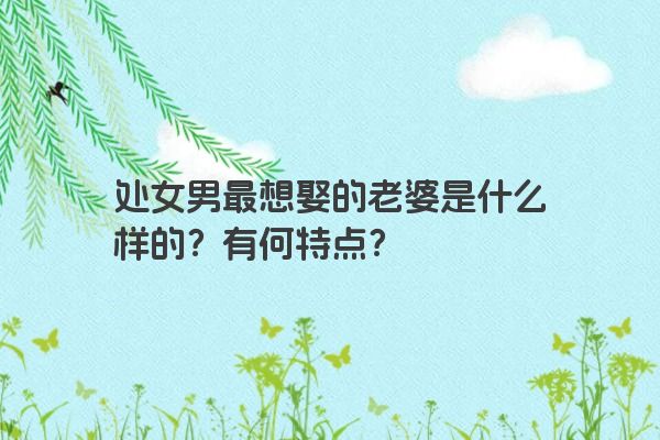 处女男最想娶的老婆是什么样的？有何特点？