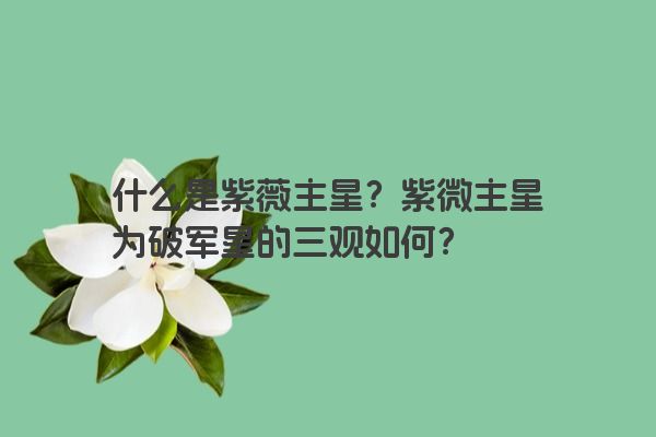 什么是紫薇主星？紫微主星为破军星的三观如何？